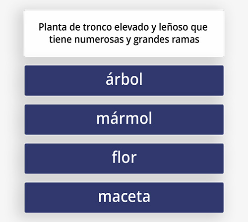 Imagen Descriptiva
