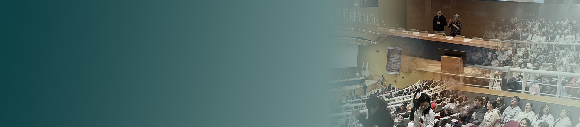 Curso Internacional de Actualización en Rehabilitación Neuropsicológica / ONLINE