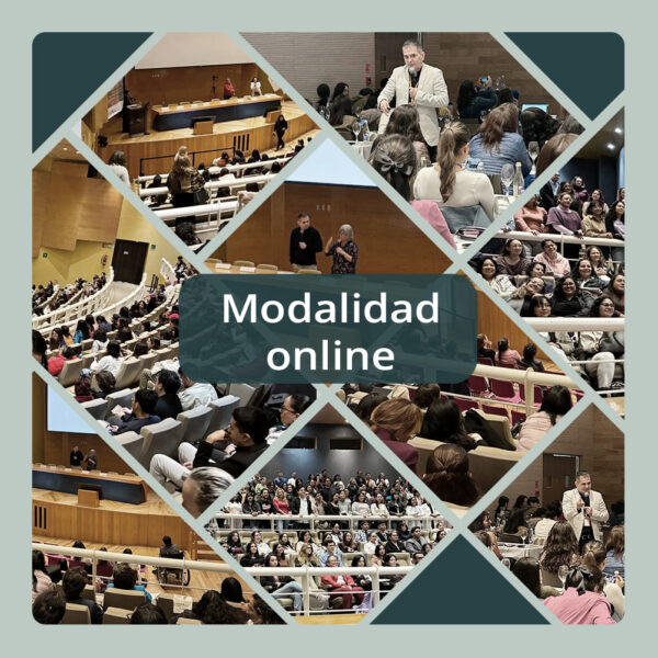 Curso Internacional de Actualización en Rehabilitación Neuropsicológica / ONLINE