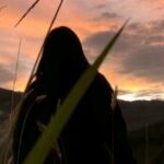 Foto de perfil de Consuelo Beatriz Tamami Quille